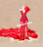 Midnight Vixen Gown