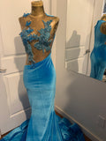 Butterfly Blue Gown