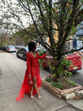 Ruby red Dress Gown