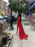Ruby red Dress Gown